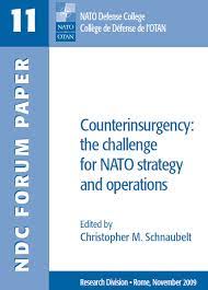 counterinsurgency challenge nato strategy operations