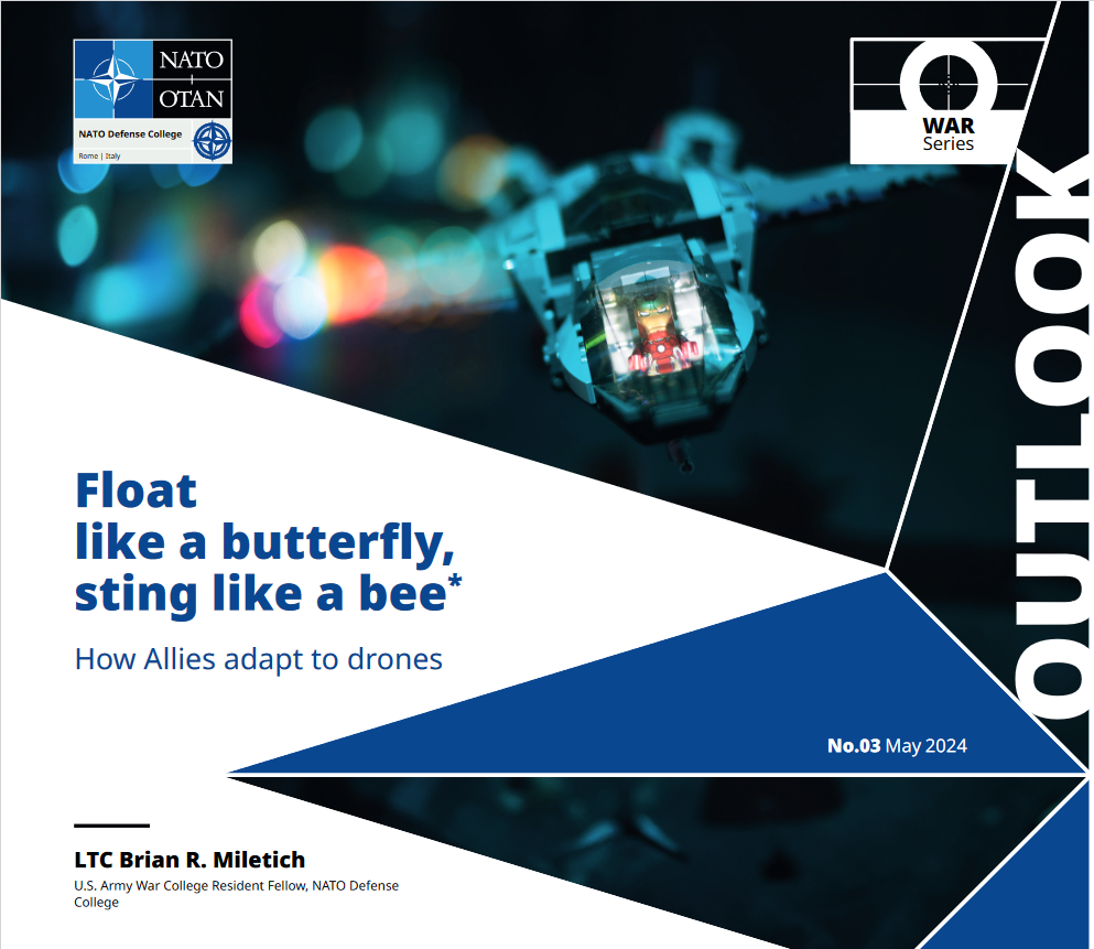 Float like a butterfly, sting like a bee - How Allies adapt to drones