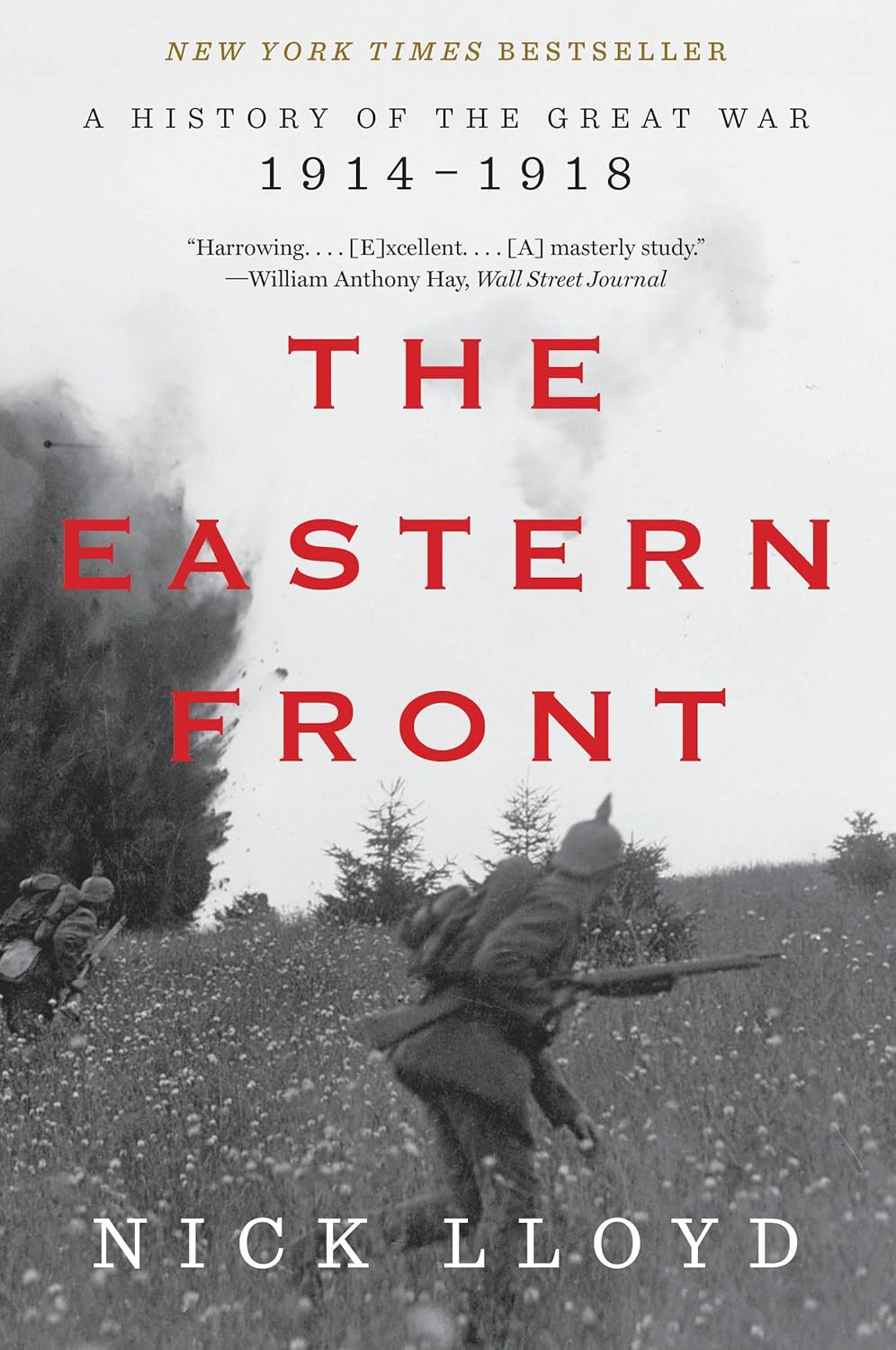 The Eastern Front: a history of the first world war